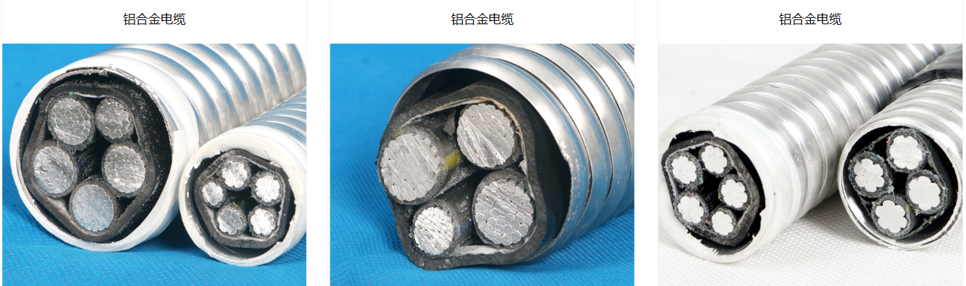 91phppb616k1687684942230625.png
