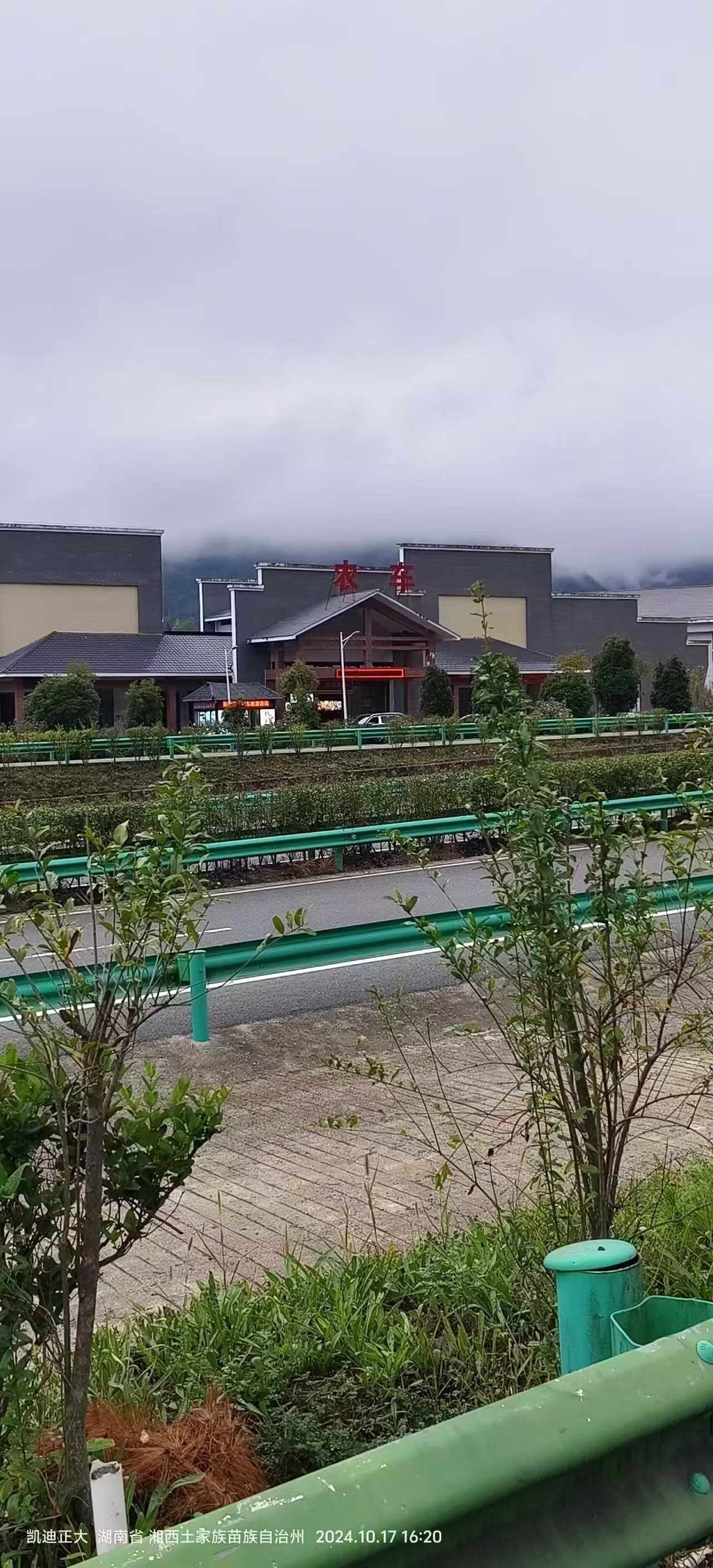 觅特友