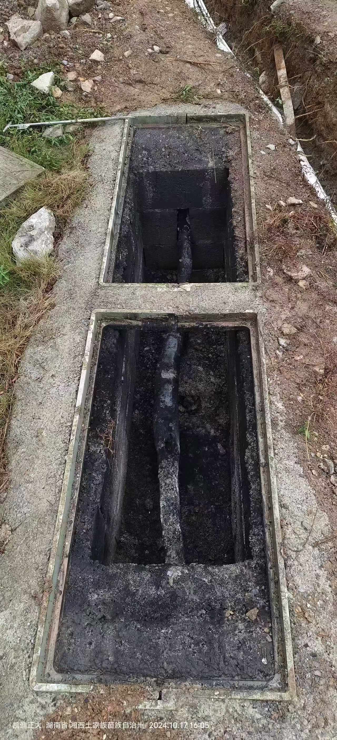 觅特友